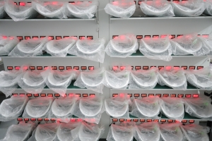 Custom Remote Control and Battery Unit for Smart Light Therapy Wireless Remote Control Unit for Red Light Therapy Mask