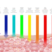 LED Wavelength Penetration: From Surface to Source Scientific diagram of LED wavelength penetration depths — red 630-660 nm reaches dermis for collagen, near-infrared 830-850 nm penetrates deeper into muscle and joint tissue